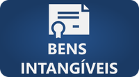 painel-bens-intangiveis.png