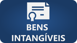 painel-bens-intangiveis.png